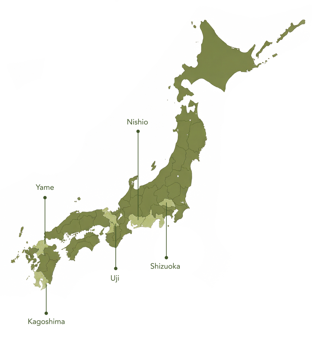 UJI AND BEYOND: JAPAN'S PREMIER TERROIRS